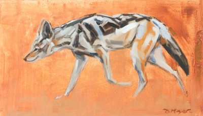 Black Backed Jackal by David Mayer