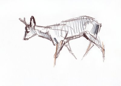 RoeBuck by David Mayer