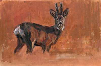 Roe Buck by David Mayer