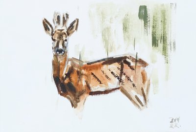 Roe Deer (Buck), 2022 by David Mayer