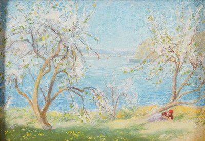 Spring Sunshine by David Murray