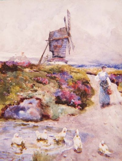 The Mill on the Common, Houghton, Huntingdonshire by David Woodlock