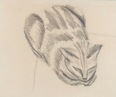 Sleeping Cat by Denton Welch