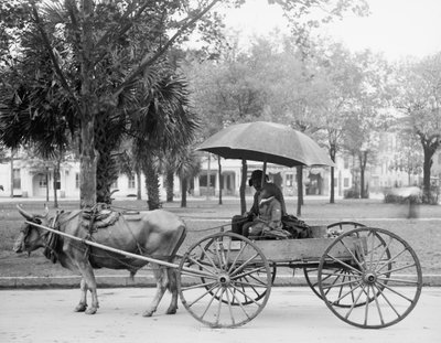 Bovinmobile in Savannah, Georgia by Detroit Publishing Co.