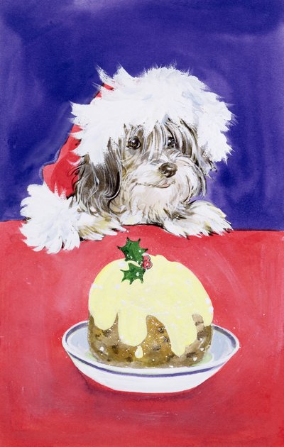The Christmas Pudding by Diane Matthes