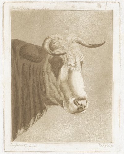 Koekop by Diederik Jan Singendonck