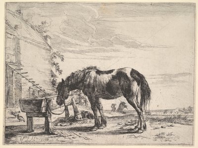 Horse Bound to a Feeding Trough by Dirck Stoop