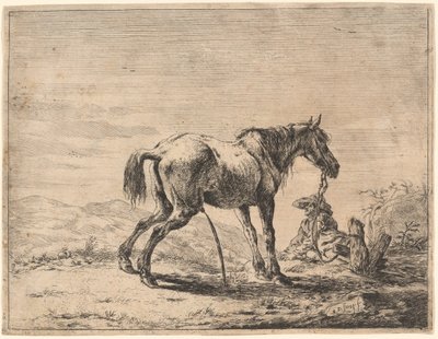 Rearing Horse near a Stable by Dirck Stoop