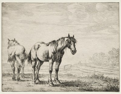 Two Plough Horses by Dirck Stoop