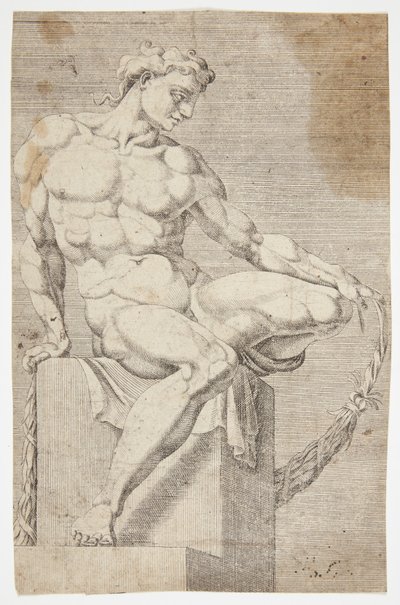 Nude from the Sistine Chapel by Dirck Volckertsz. Coornhert
