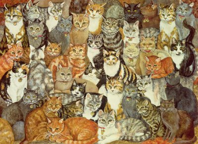 Cat-Spread by Ditz