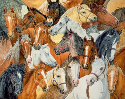 Dees Horse-Blanket by Ditz