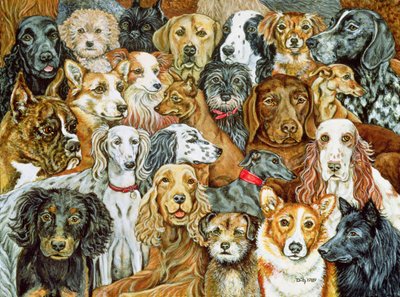 Dog Spread, 1989 by Ditz