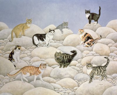 Lynn Valley Cats by Ditz