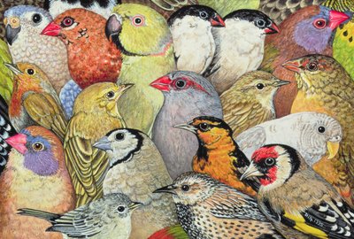 Patchwork-Birds by Ditz
