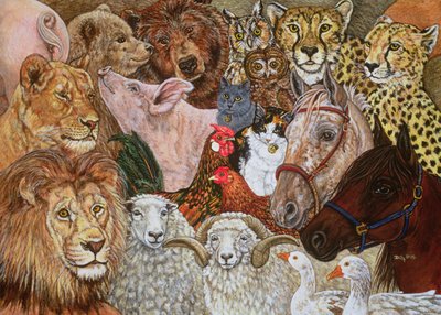 The Ark Spread by Ditz