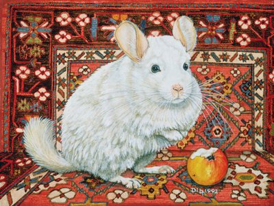 The Carpet-Chinchilla, 1992 by Ditz