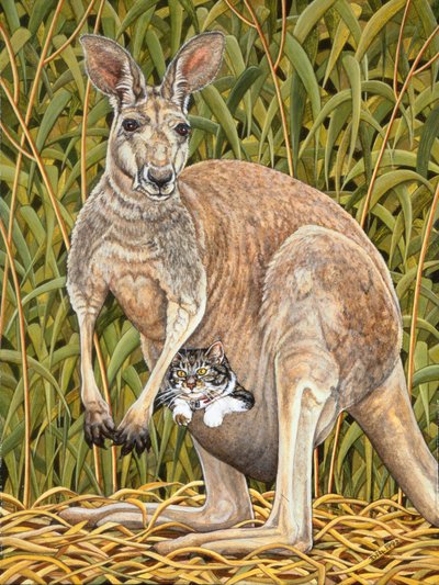 The Kangaroo-Cat by Ditz Ditz