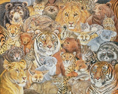 The Wild Bunch by Ditz