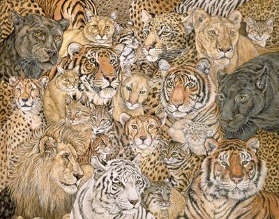 Wild Cat-Spread, 1992 by Ditz