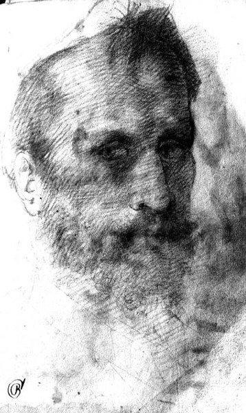 Bearded Man by Domenico Beccafumi