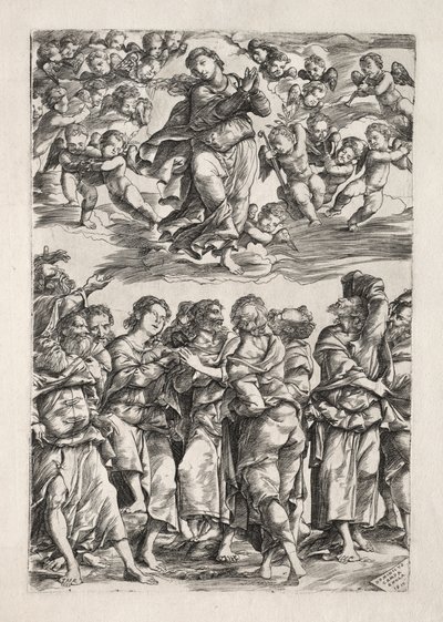 The Assumption of the Virgin by Domenico Campagnola