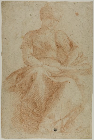 Seated Woman with Book by Domenico Fiasella