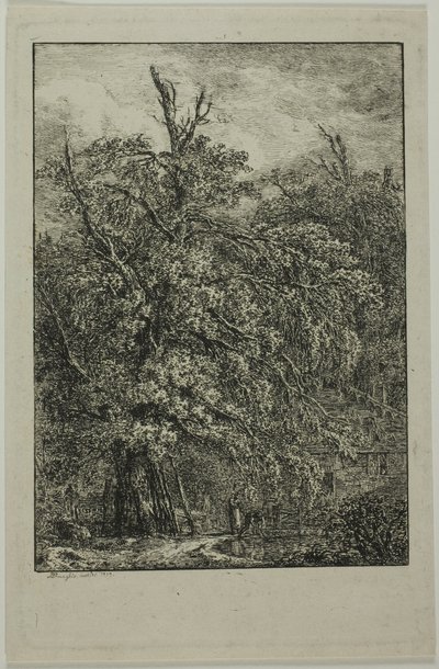 Great Tree by Domenico Quaglio