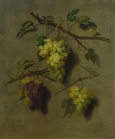 Still Life by Dominicus Van der Smissen