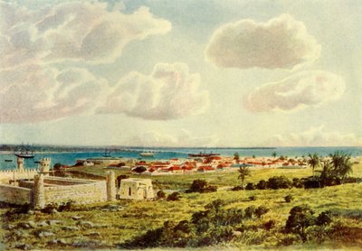 Delagoa Bay by Donald McCracken