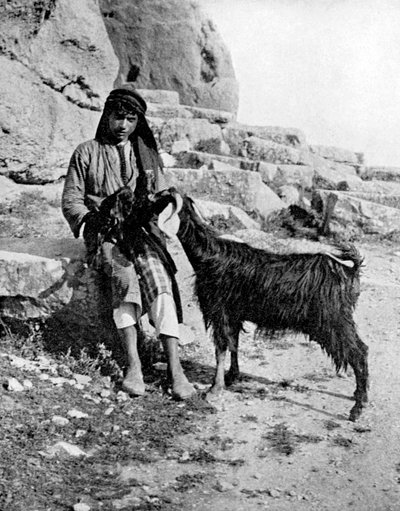 Arab boy and goat, Middle East, 1936 by Donald McLeish