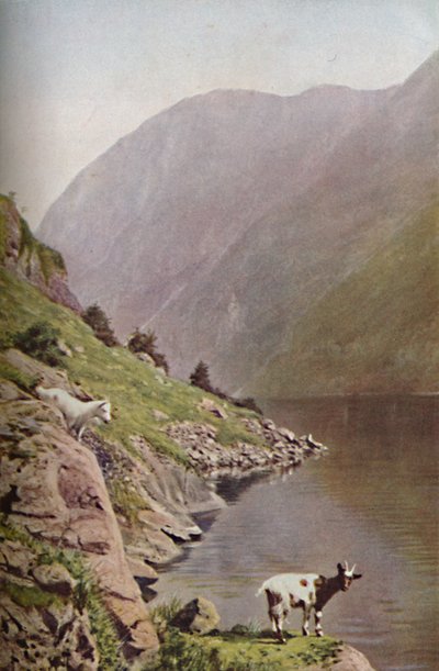 Norway, c1930s by Donald McLeish