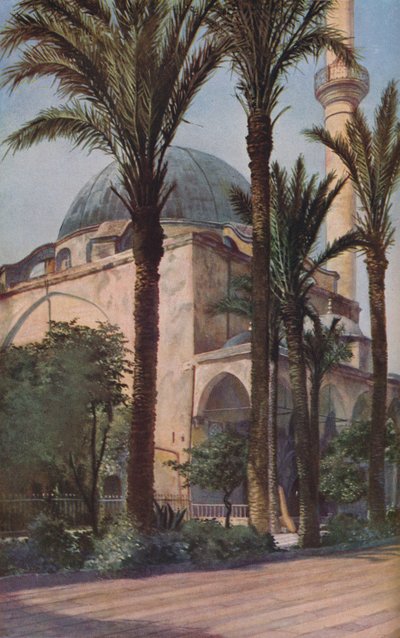 Palestine by Donald McLeish
