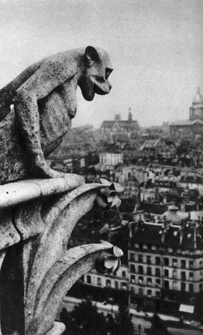 Stone demon, Notre Dame, Paris, France by Donald McLeish