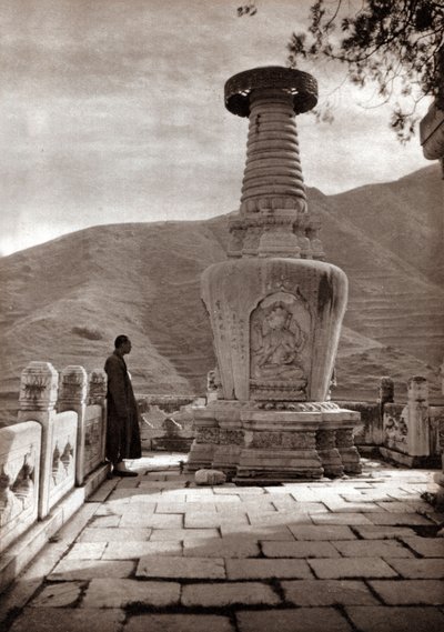Marble Sentinel, Beijing by Donald Mennie