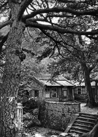 Western Hills, Haidan District, Beijing by Donald Mennie