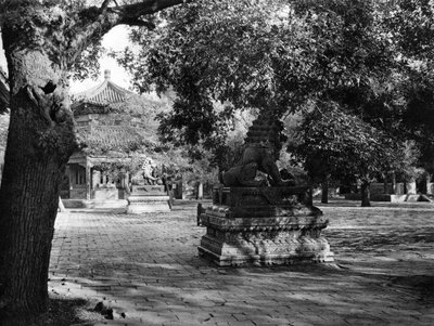 Yonghe Temple, Beijing by Donald Mennie