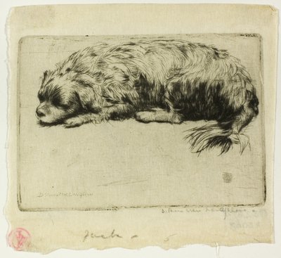 Jack by Donald Shaw MacLaughlan