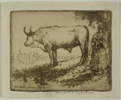 The White Ox by Donald Shaw MacLaughlan