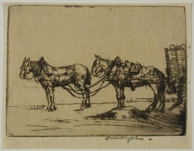 Two Horses by Donald Shaw MacLaughlan