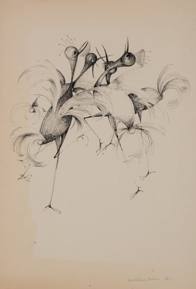 Birds by Donatella Merlo