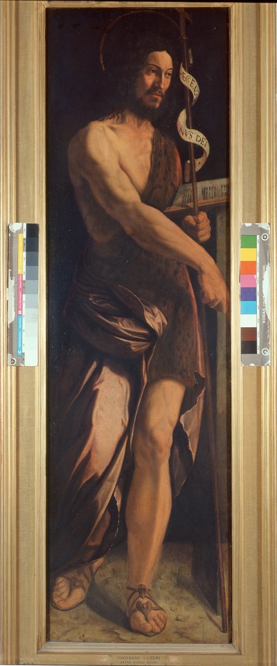 St. John the Baptist by Dosso Dossi
