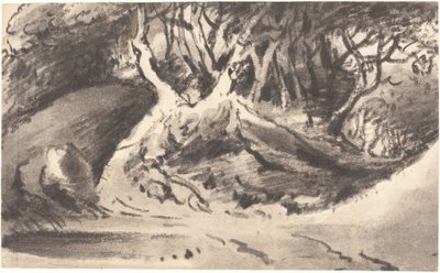 Wooded Landscape by Dr. Thomas Monro