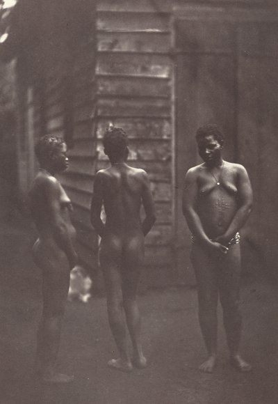 Three Malagasy Women (Plate 30) by Désiré Charnay