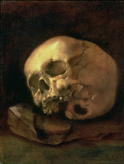 A Skull by Dutch School