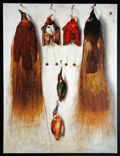Birds of Paradise by Dutch School