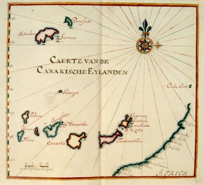 Madeira and Canary Islands by Dutch School