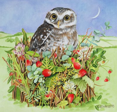 Owl in a Woodland Basket, 1993 by E.B. Watts