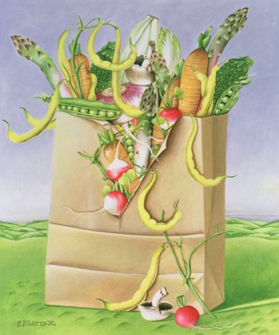 Paper Bag with Vegetables, 1992 by E.B. Watts