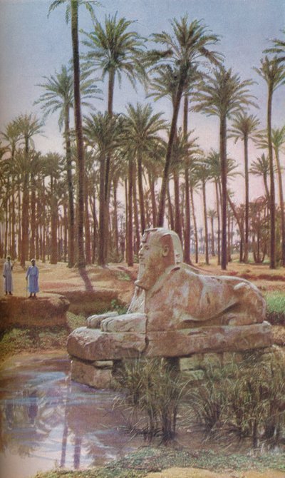 Egypt by ENA